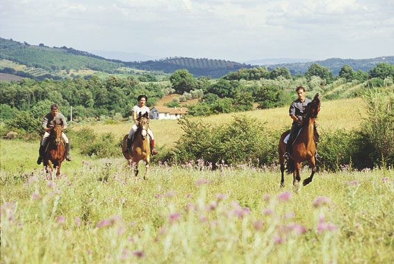 cavalli