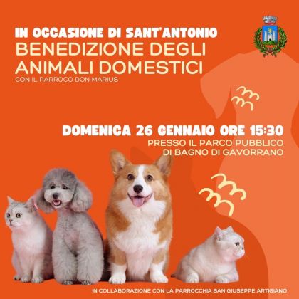 benedizione animali