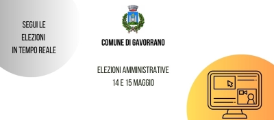 Elezioni online