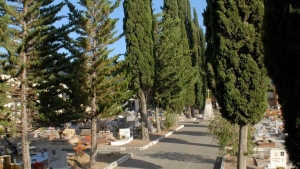 Avviso esumazioni