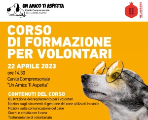 Corso di formazione gratuito per volontari di canile